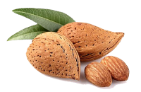 Almonds with leaves PNG