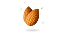 Almond PNG