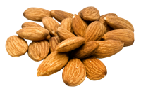 Almond PNG