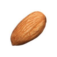Almond PNG