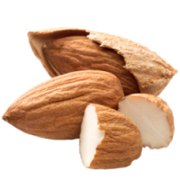 Almond PNG