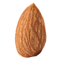 Almond PNG