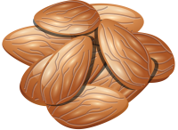 Almonds PNG image, almond PNG
