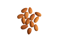 Almond PNG
