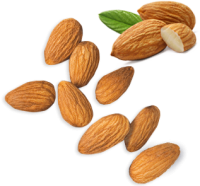 Almond PNG