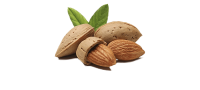 Almond PNG