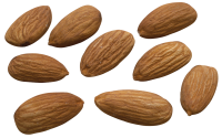 Almond PNG