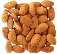 Almond PNG