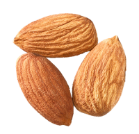 Almond PNG