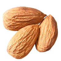 Almond PNG