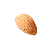 Almond PNG