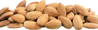Almond PNG