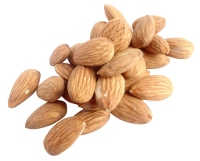 Almond PNG