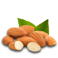 Almond PNG
