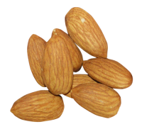 Almond PNG