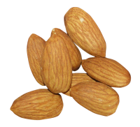 Almonds PNG