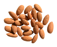 Almond PNG