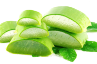 Aloe vera PNG