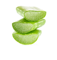 Aloe vera PNG