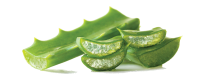 Aloe vera PNG
