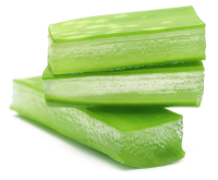 Aloe vera PNG