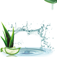 Aloe vera PNG