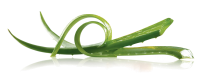 Aloe vera PNG