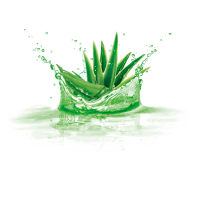 Aloe vera PNG