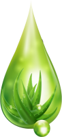 Aloe vera PNG