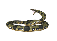 Anaconda PNG