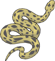 Anaconda PNG