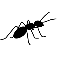 ant PNG