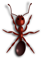 ant PNG