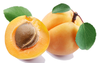 Apricots PNG
