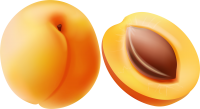 Apricot PNG