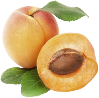 Apricot PNG