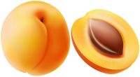 Apricot PNG