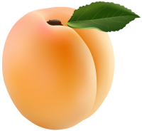 Apricot PNG