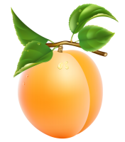 Apricot wih green leaves PNG