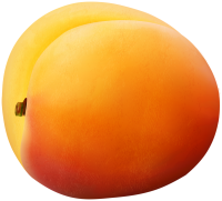 Apricot PNG