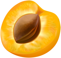 Apricot PNG
