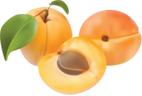 Apricot PNG