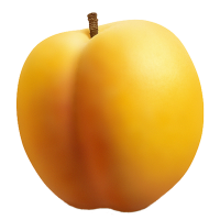 Apricot PNG