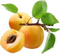 Apricots PNG
