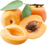 Apricots PNG