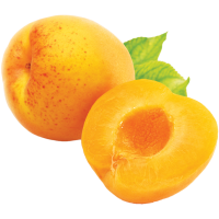 Apricot PNG