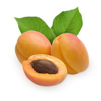 Apricot PNG