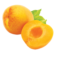 Apricot PNG