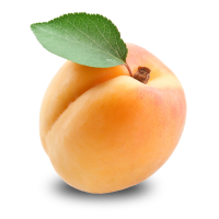 Apricot PNG