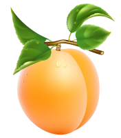 Apricot with leaves PNG